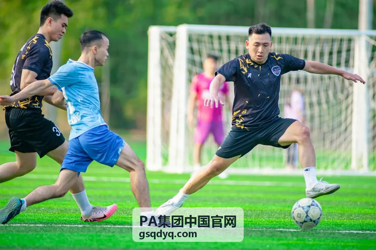 PA集团合作伙伴评价